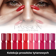 Kolekcja proszków do manicure tytanowego Passion Collection